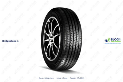 Ficha técnica Bridgestone 1