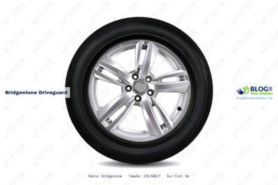 Ficha técnica Bridgestone driveguard