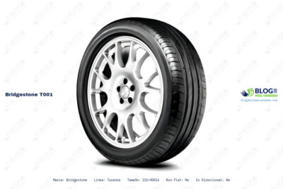 Ficha técnica Bridgestone t001