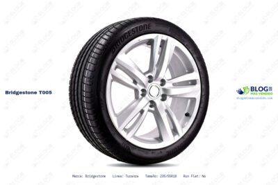 Ficha técnica Bridgestone t005