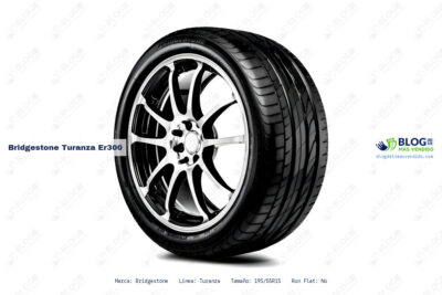 Ficha técnica Bridgestone turanza er300