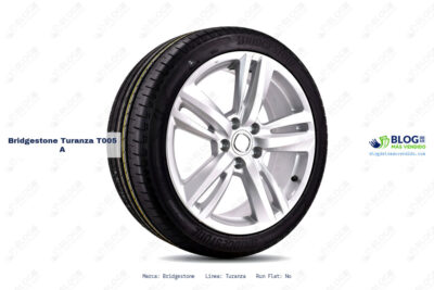 Ficha técnica Bridgestone turanza t005 a
