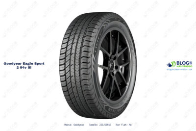 Ficha técnica Goodyear goodyear eagle sport 2 94v sl