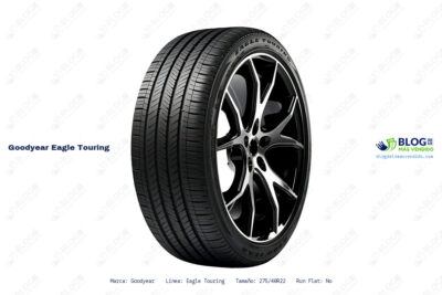 Ficha técnica Goodyear eagle touring
