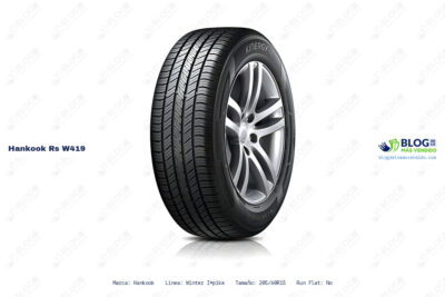Ficha técnica Hankook rs w419