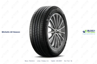 Ficha técnica Michelin all season