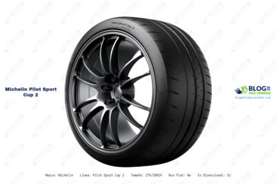 Ficha técnica Michelin pilot sport cup 2
