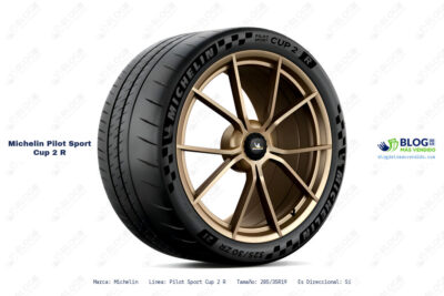 Ficha técnica Michelin pilot sport cup 2 r