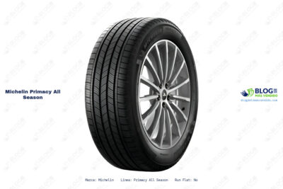 Ficha técnica Michelin primacy all season