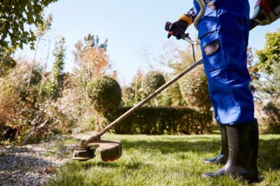 Guía sobre desmalezadoras para jardines y parques